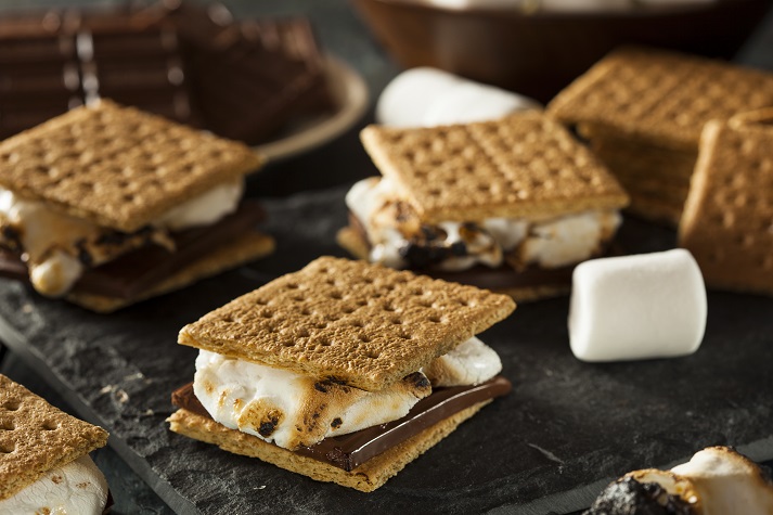 Lesson - How to Make S'mores Educational Resources K12 Learning