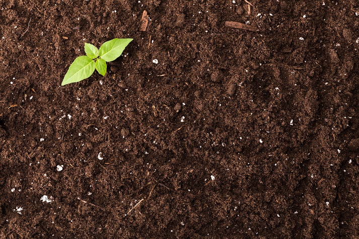 Lesson - Nutrients in Soil Educational Resources K12 Learning