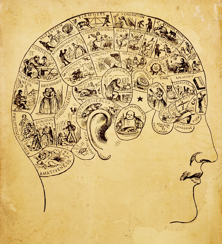 Lesson - The Forgotten Science of Phrenology Educational Resources K12 Learning