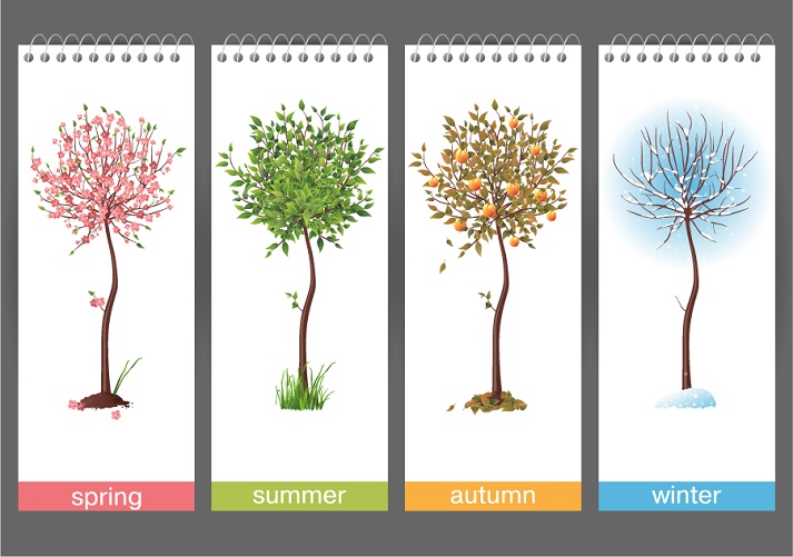 Lesson - Seasons Change Educational Resources K12 Learning