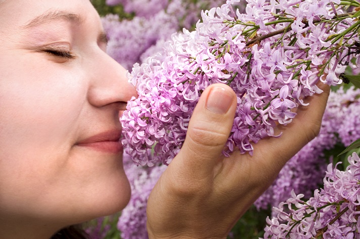 Lesson - Our Sense of Smell Educational Resources K12 Learning