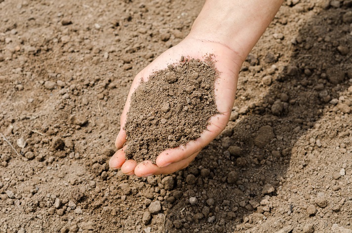 Lesson - The Dirt on Soil Educational Resources K12 Learning