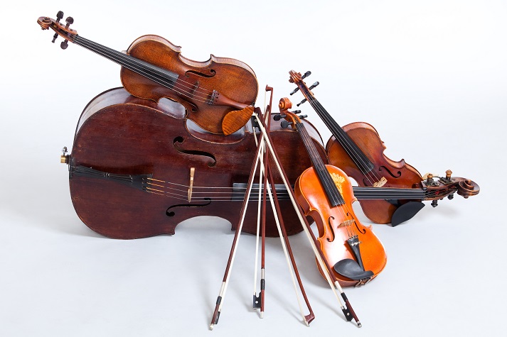 single stringed instrument