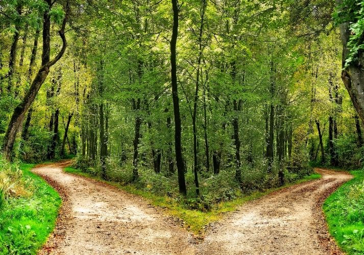 Lesson - Analyzing Poetry: ''The Road Not Taken'' Educational Resources K12 Learning