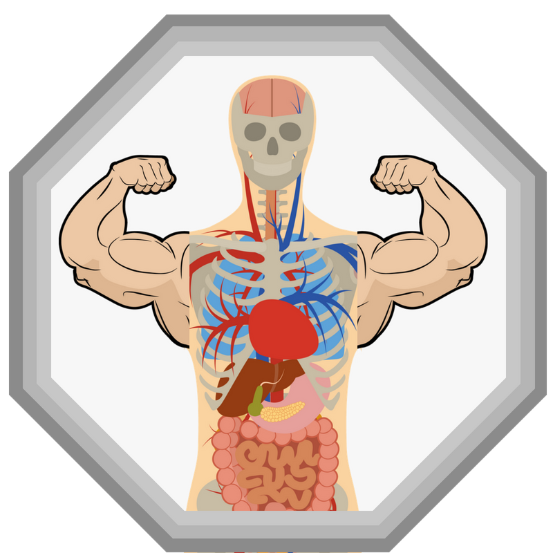 Badge - Basics of the Immune System Educational Resources K12 Learning