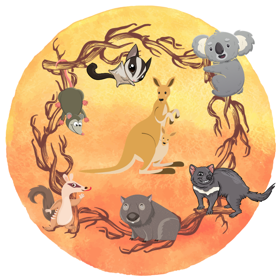 Badge - Marsupials: Gliders Educational Resources K12 Learning
