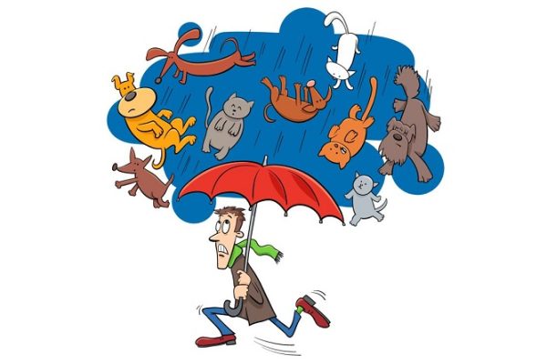12992-raining-cats-and-dogs Online Homeschool