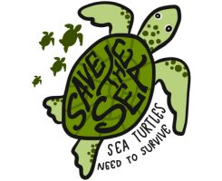 save-sea-turtles